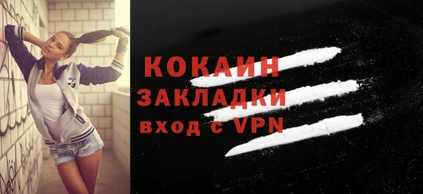 сатива Ростов