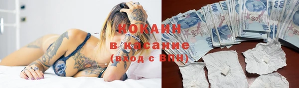 винт Арсеньев