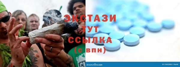 дмт Рославль
